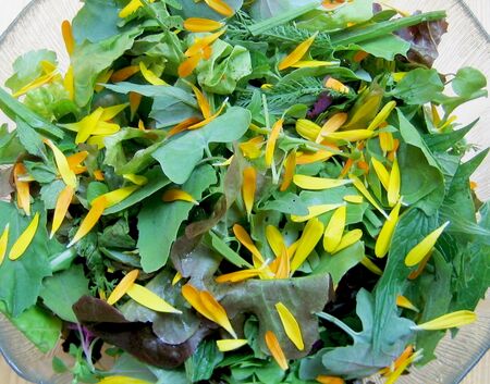 Steinschaler Wildkräutersalat - saisonal