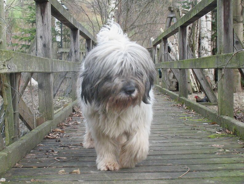 Datei:Wastl auf seiner Route.jpg